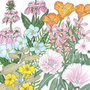 California Coastal Wildflower Mix (pack)-2
