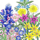 California Low-Growing Native Wildflower Mix (pack)-2