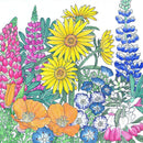 Regional Northwest Native Wildflower Mix (pack)-2