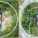 Titan RX Sun and Shade Turf-Type Tall Fescue Grass Seed-3