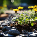 LESCO Prosecutor Pro Non Selective Liquid Herbicide 2.5 gal.-3